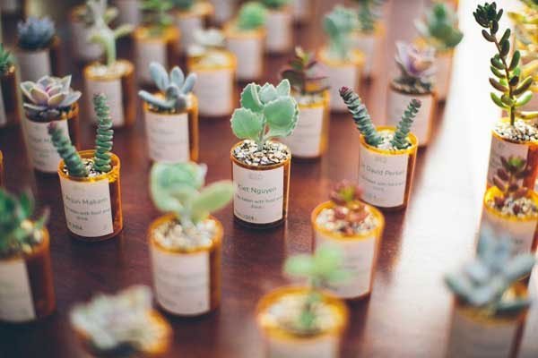 cadeaux invites minis cactus